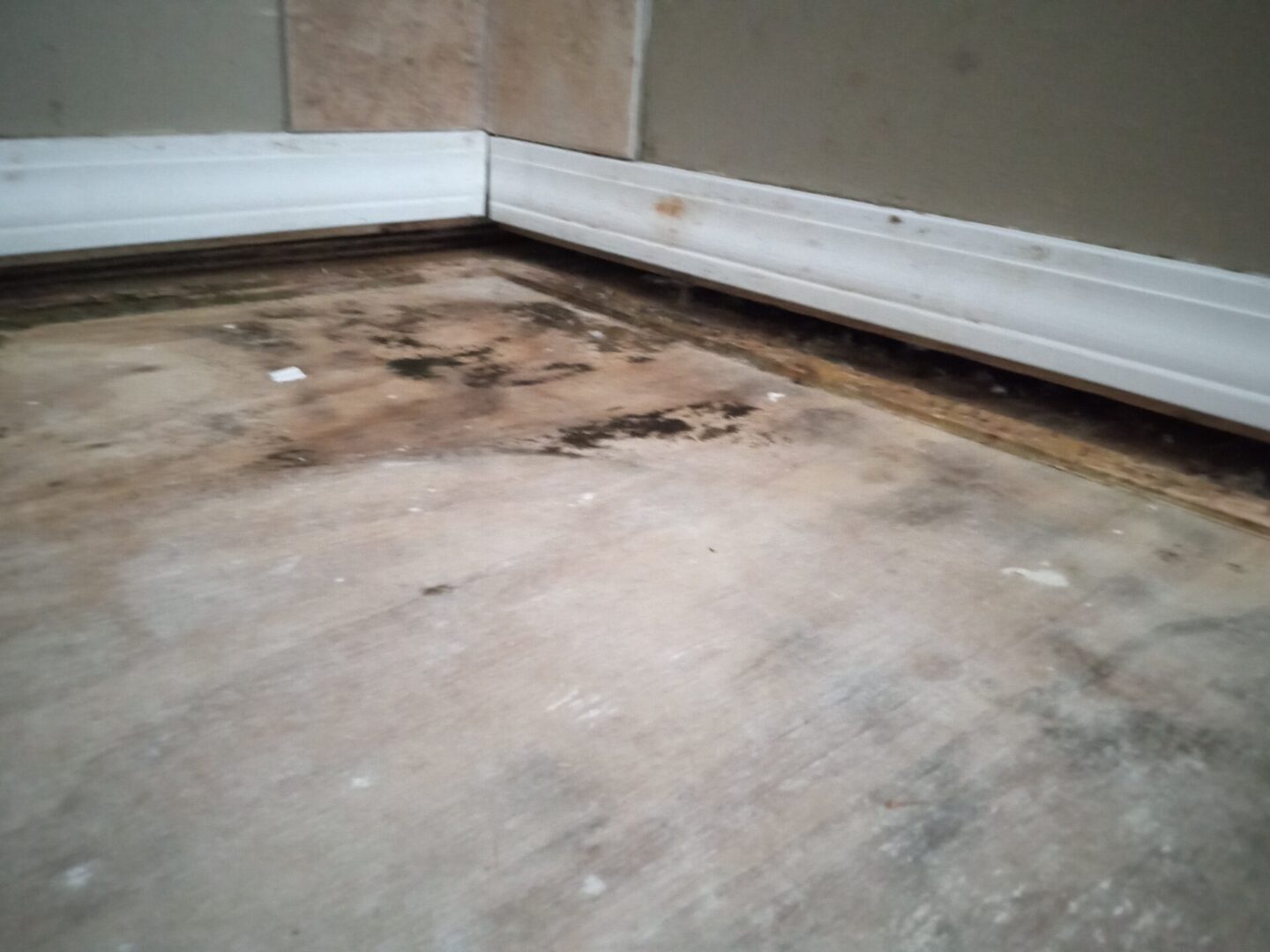 A dirty floor with brown stains and white baseboards.